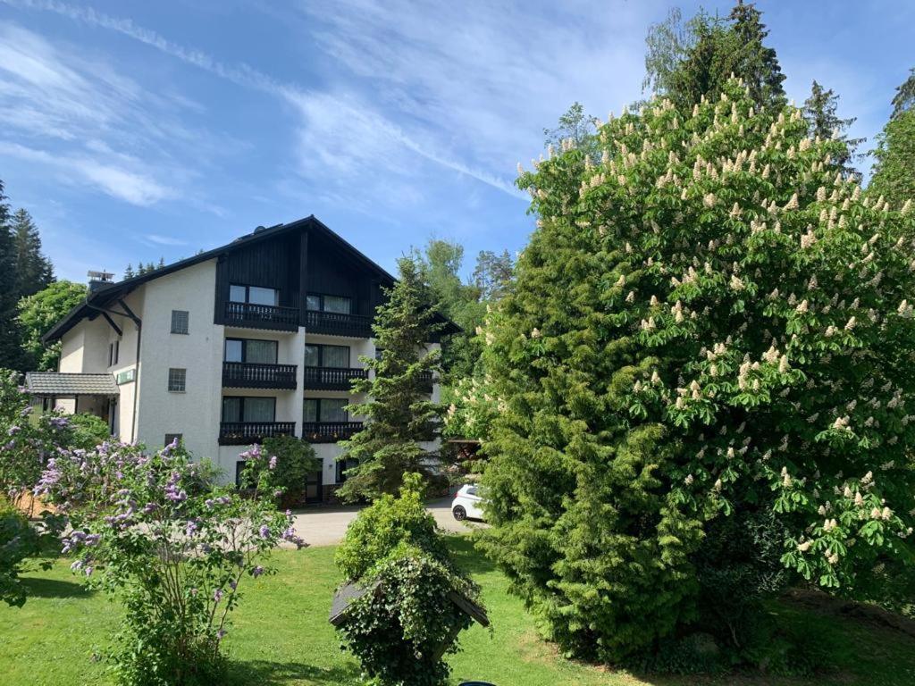 Landhaus Am Forst Bad Alexandersbad Esterno foto