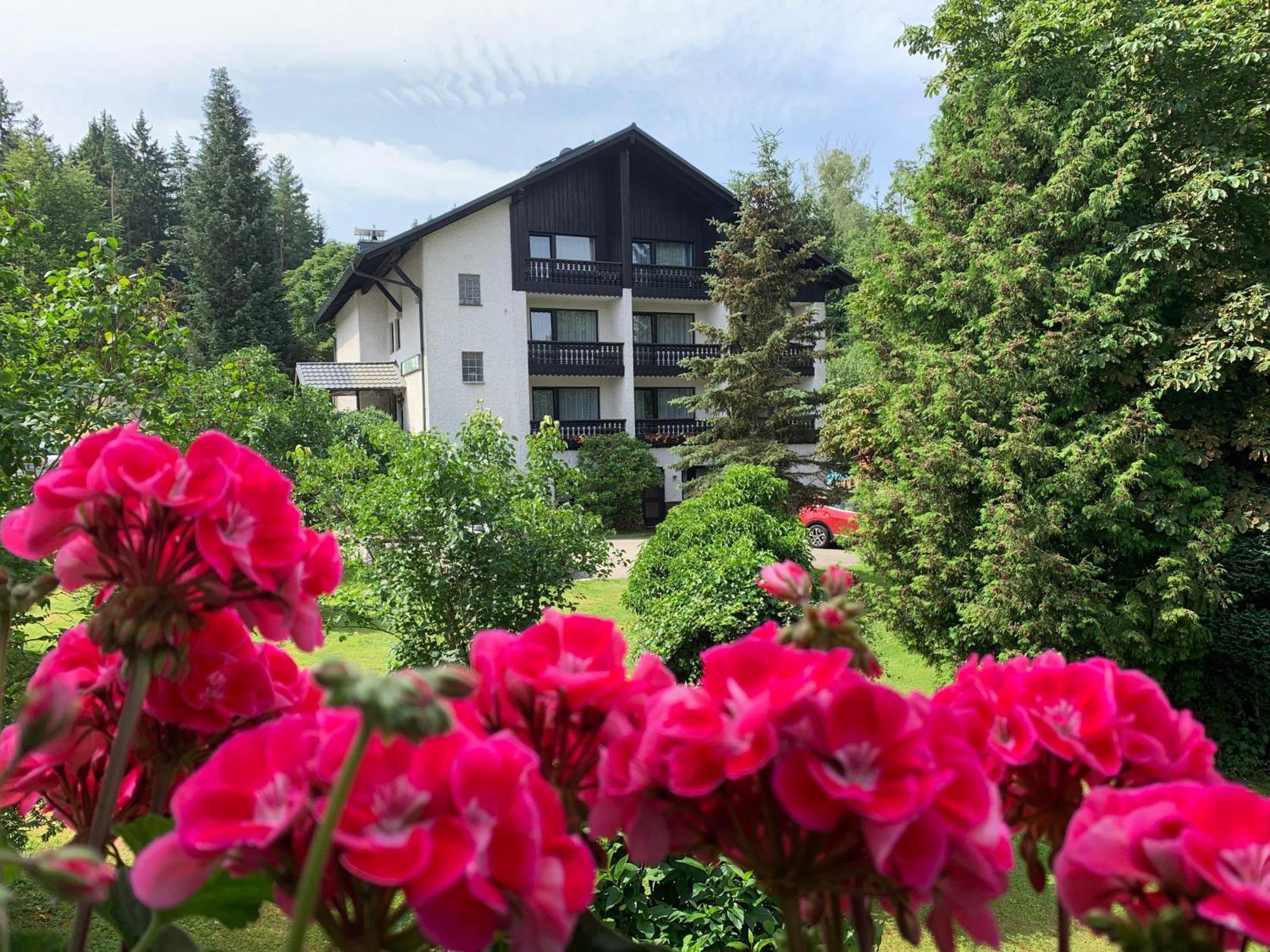 Landhaus Am Forst Bad Alexandersbad Esterno foto