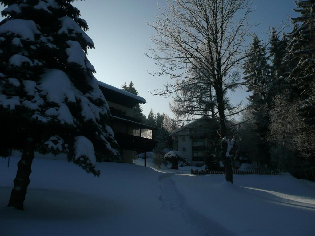Landhaus Am Forst Bad Alexandersbad Esterno foto